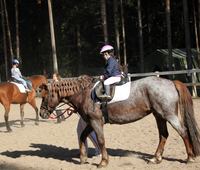 Thumb_200_170_l_1286