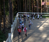 Thumb_200_170_l_1383