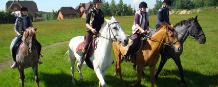 Thumb_426_170_dsc07350